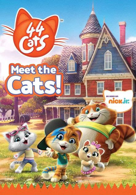 Meet the cats .